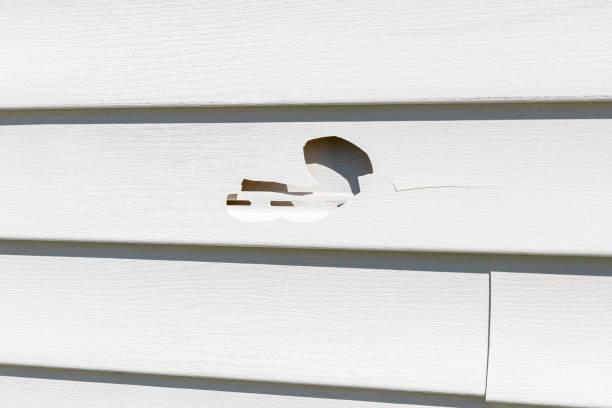 Best James Hardie Siding  in Cera, AL