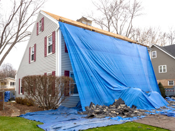 Best Siding for New Construction  in Cera, AL